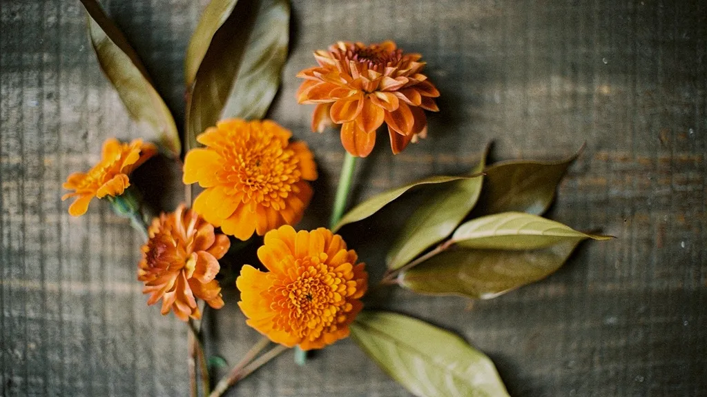 A close-up of a floral arrangement with marigold, burnt orange dahlias, and olive leaves on a rustic wooden surface, highlighting the earthy, warm tones of fall